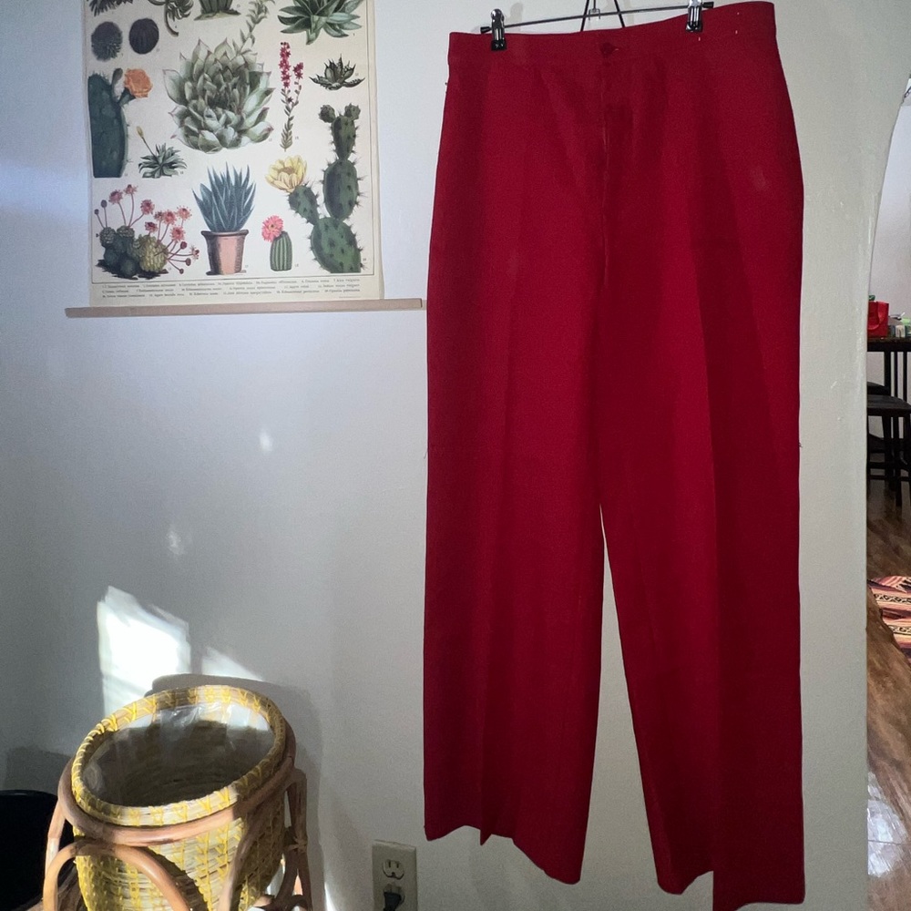 🚨🚨RARE VINTAGE LEVI RED WEDGIE HOT PANTS🚨🚨